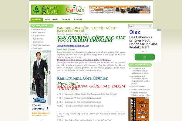 Estetica theme site design template sample