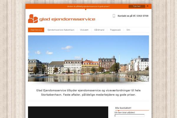 Site using WP Facebook Pixel plugin
