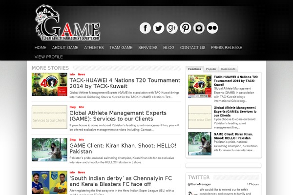 Resportsive theme site design template sample