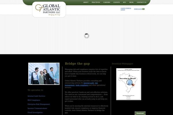 Snow Summit theme site design template sample