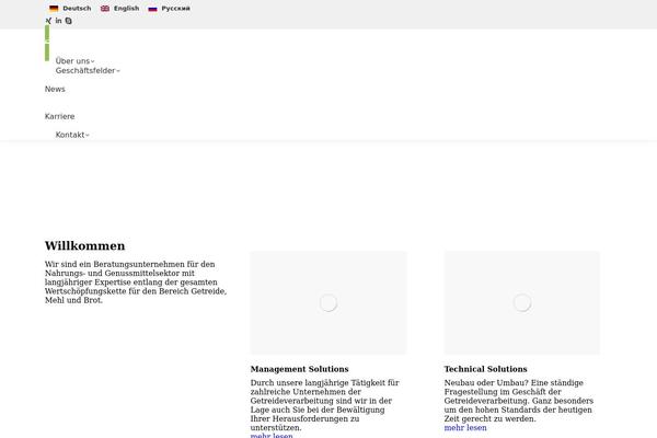 WordPress website example screenshot