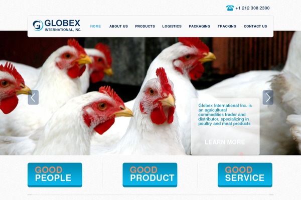 Globex theme site design template sample