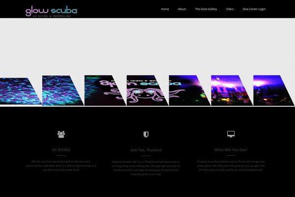 Advertica theme site design template sample