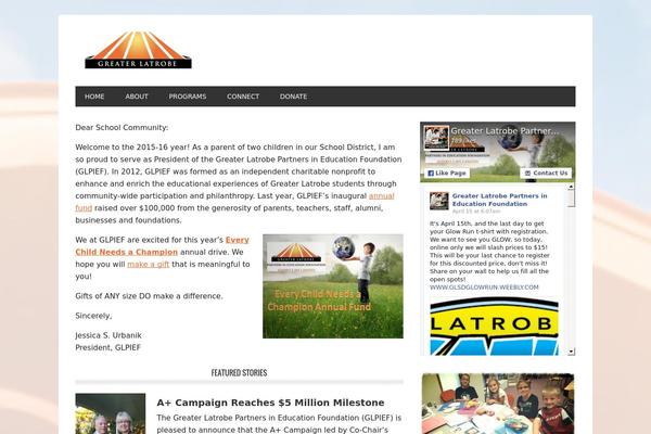 Metro Pro theme site design template sample