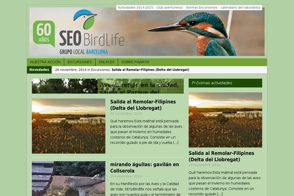 Site using Advanced-post-block plugin