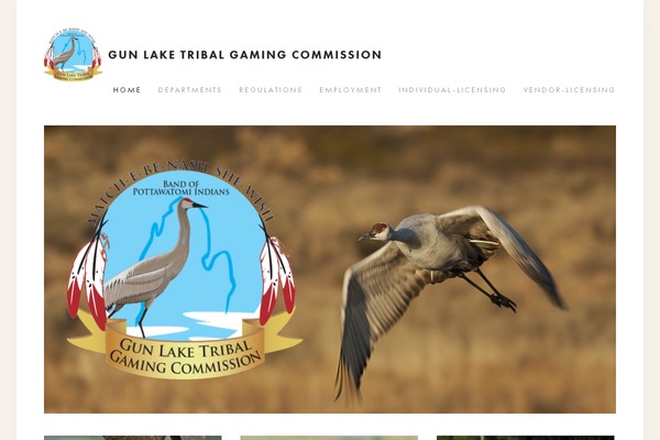 Neptune theme site design template sample