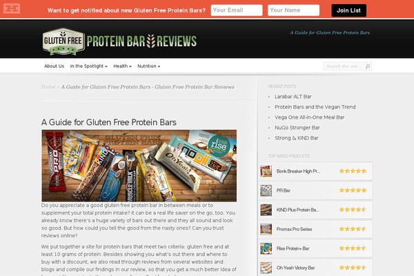 InReview theme site design template sample
