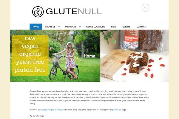 Edin theme site design template sample