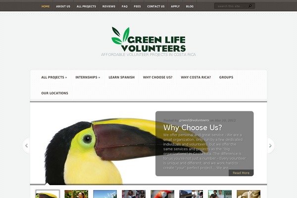 Site using Falconiform YouTube Widget plugin