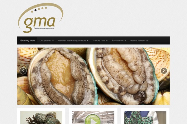 CyberChimps theme site design template sample