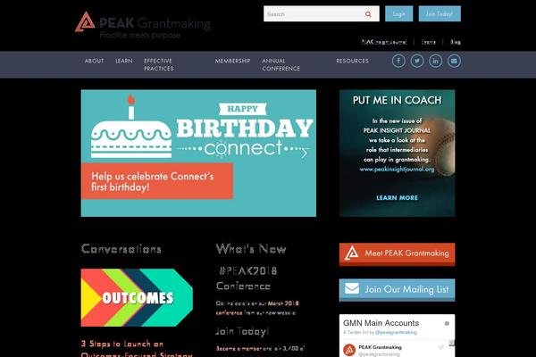 GMN theme websites examples