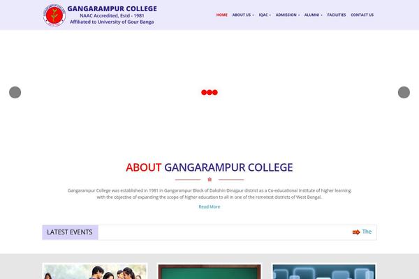 Site using Custom css-js-php plugin