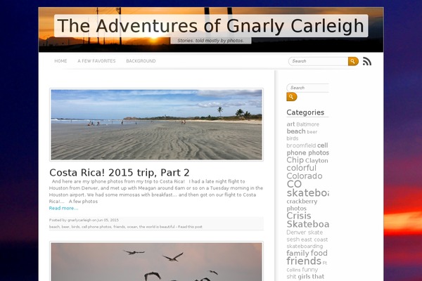 Brightpage theme site design template sample