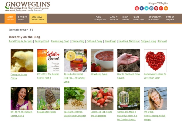 Site using Wp-recipe-maker plugin