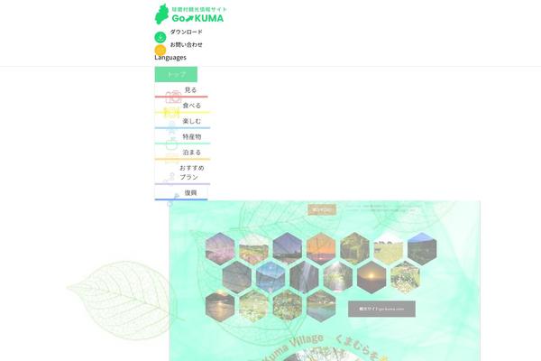 Site using Standard Widget Extensions plugin