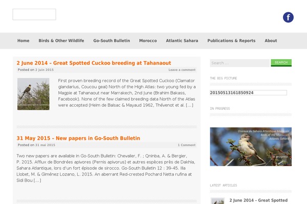 Coller theme site design template sample