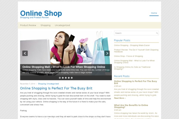 Creditrepair theme site design template sample