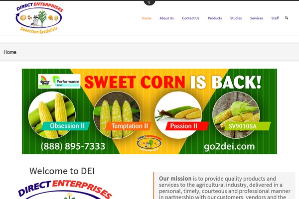 go2dei.com site used Circleflip