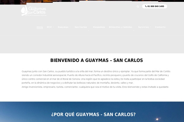 Altair theme site design template sample
