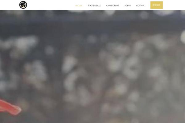 Site using Prowess-core plugin