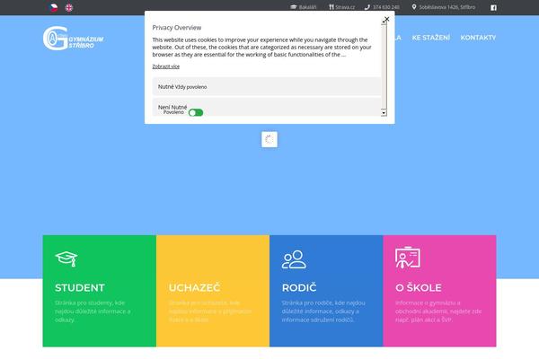 Site using SVG Support plugin