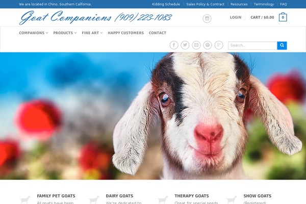 Flatsome theme site design template sample
