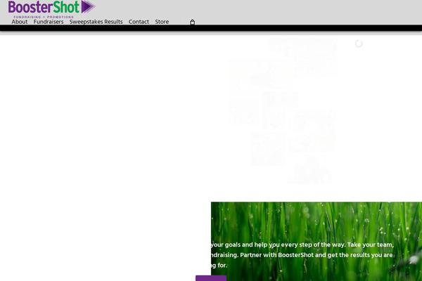 Salient Child theme site design template sample
