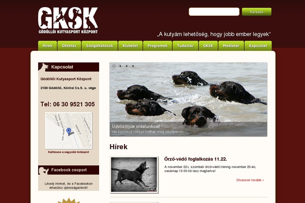 Ds theme site design template sample