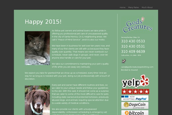 Berlin theme site design template sample