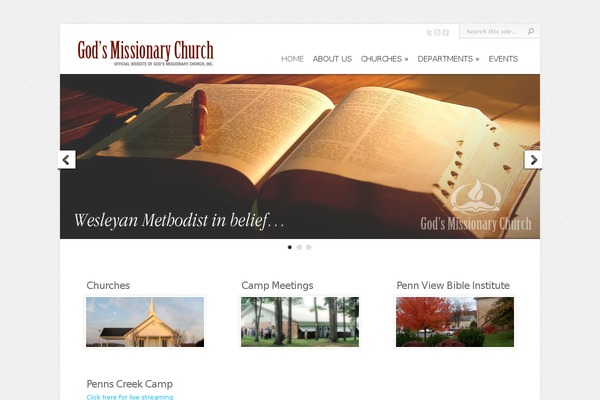 Chameleon theme site design template sample