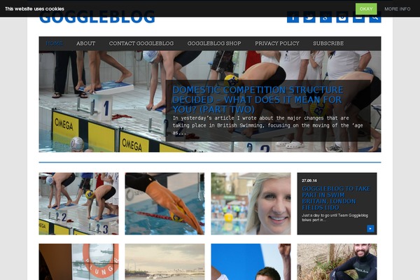 Magazino theme site design template sample