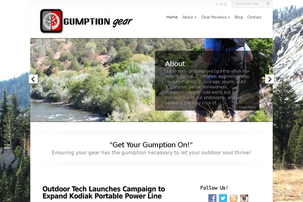 Chameleon theme site design template sample