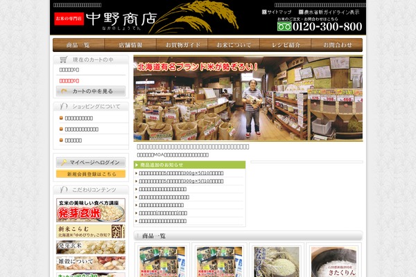 Iconic_tcd062 theme site design template sample
