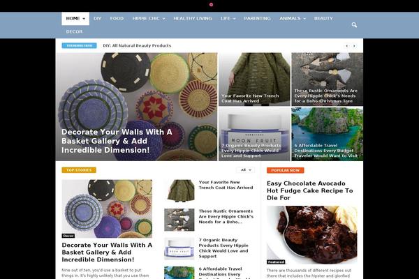gohippiechic.com site used Niche-profit-theme