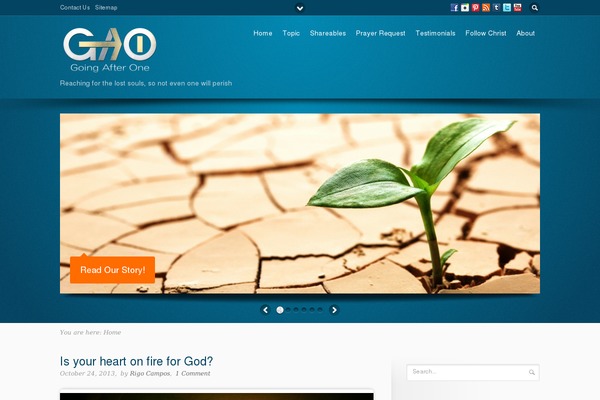 Flare theme site design template sample