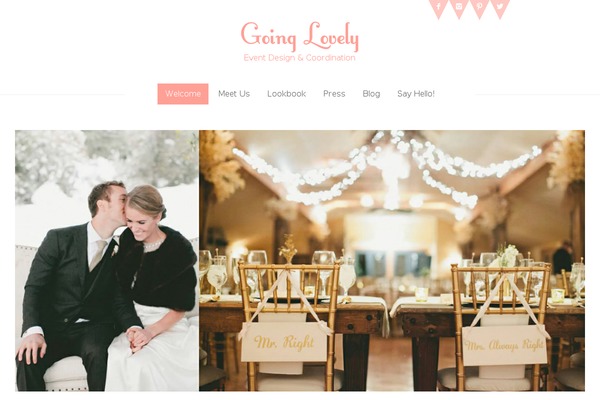 Metrolium theme site design template sample