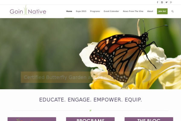 Enfold theme site design template sample