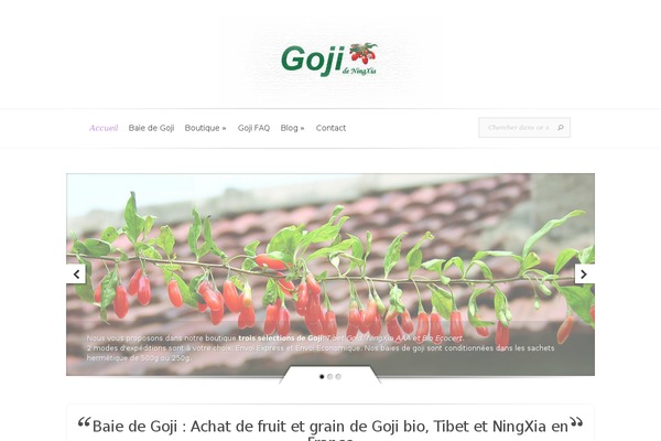 Evolution theme site design template sample