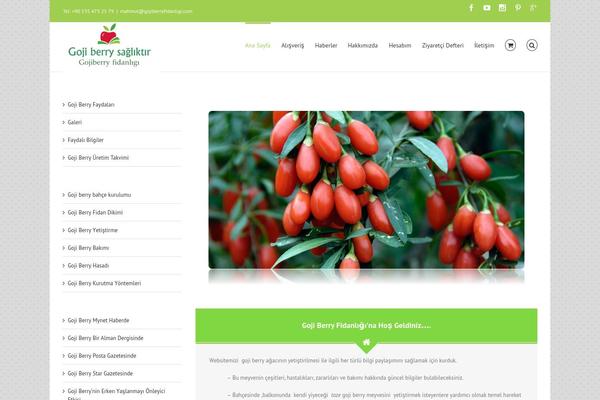 Site using Easy-social-share-buttons3 plugin