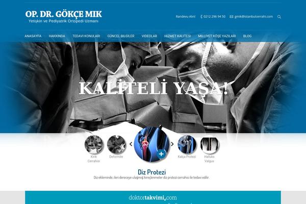 Dt theme site design template sample