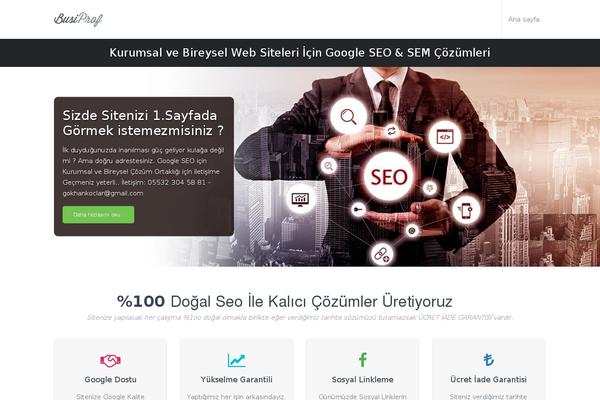 Busiprof theme site design template sample
