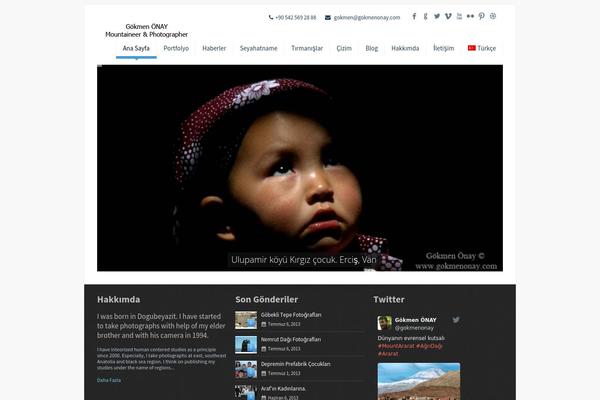 Pindol theme site design template sample