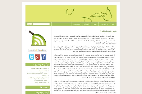 golabi.net site used Blixed