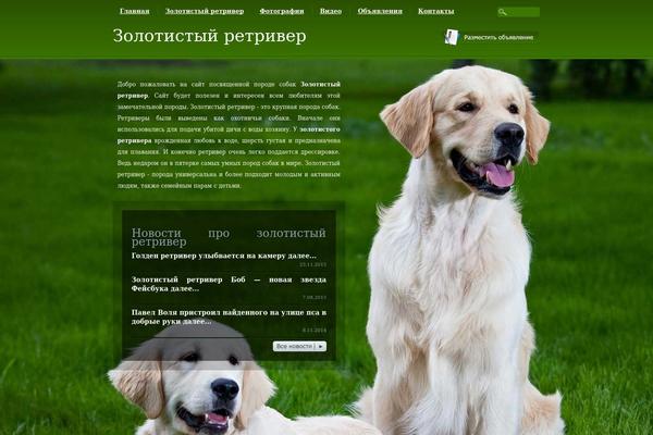 Gold theme site design template sample