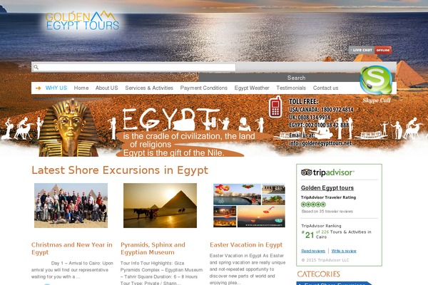 Golden theme site design template sample