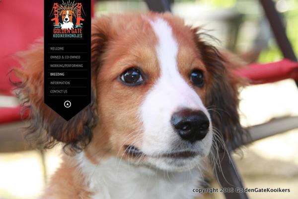 Karma theme site design template sample