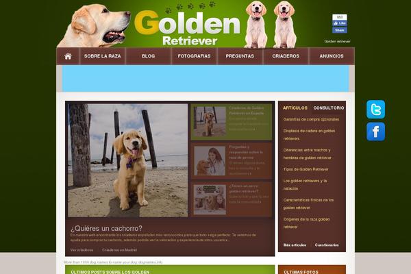 Site using WP Socializer plugin