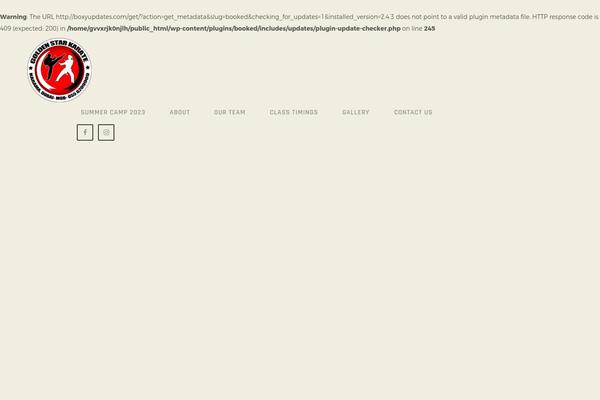 Site using Trx_socials plugin
