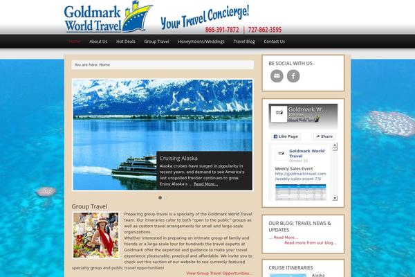 Magazine theme site design template sample