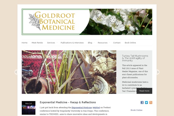 Linen theme site design template sample
